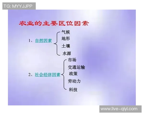 足球转会费为何如此高昂背后的经济学与市场因素解析